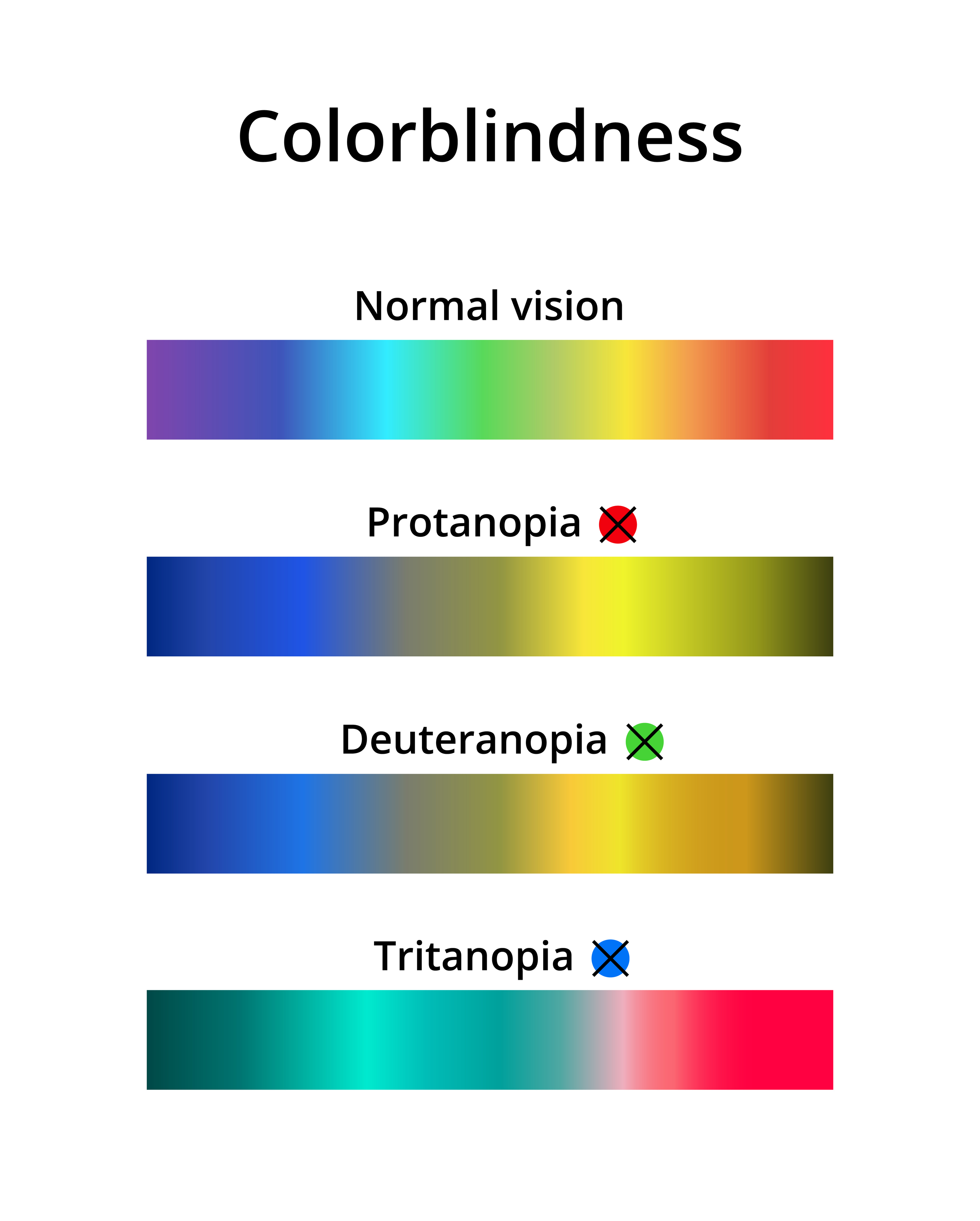 Esittely erilaisista värisokeuden muodoista liukuvärjättyjen väripalkkien avulla.